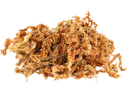 Sea Moss