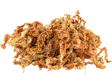 Sea Moss