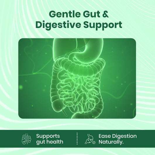 Soursop Natural Drops