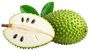 Soursop