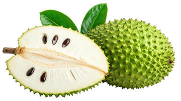 Soursop